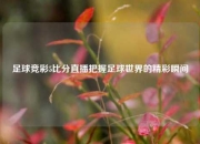 足球竞彩5比分直播把握足球世界的精彩瞬间