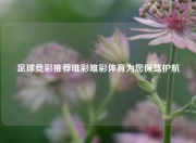 足球竞彩推荐唯彩唯彩体育为您保驾护航