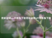 竞彩足球app手机版下载竞彩足球APP手机版下载