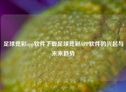 足球竞彩app软件下载足球竞彩APP软件的兴起与未来趋势