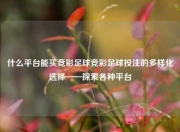 什么平台能买竞彩足球竞彩足球投注的多样化选择——探索各种平台
