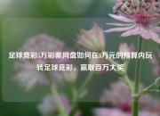 足球竞彩5万彩票网盘如何在5万元的预算内玩转足球竞彩，赢取百万大奖