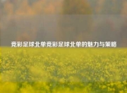 竞彩足球北单竞彩足球北单的魅力与策略