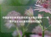 中国足球彩票竞彩游戏阳光下的足球梦——探索中国足球彩票竞彩游戏的魅力