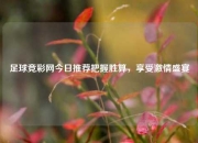 足球竞彩网今日推荐把握胜算，享受激情盛宴