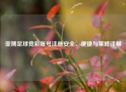 亚博足球竞彩账号注册安全、便捷与策略详解