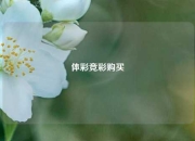 体彩竞彩购买