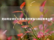 竞彩网足球比分直播5实时更新与精彩赛事分析