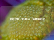竞彩足球一彩票365一场精彩对决