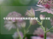 今天竞彩足球分析预测l把握胜算，稳中求胜