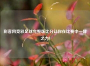 彩客网竞彩足球完整版比分让你在比赛中一臂之力！