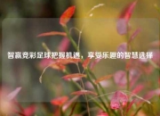智赢竞彩足球把握机遇，享受乐趣的智慧选择