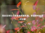 竞彩足球比分直播串把握机遇，享受即时投注的乐趣