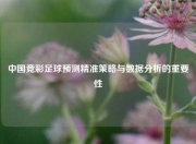 中国竞彩足球预测精准策略与数据分析的重要性