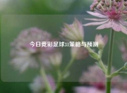 今日竞彩足球31策略与预测