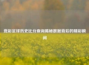 竞彩足球历史比分查询揭秘数据背后的精彩瞬间