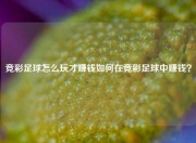 竞彩足球怎么玩才赚钱如何在竞彩足球中赚钱？
