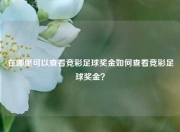 在哪里可以查看竞彩足球奖金如何查看竞彩足球奖金？