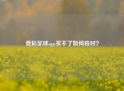 竞彩足球app买不了如何应对？