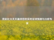 竞彩比分天天盈球您的实时足球预测与分析专家