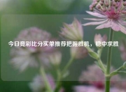 今日竞彩比分实单推荐把握胜机，稳中求胜