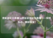 竞彩足比分直播500竞彩足球比分直播——实时互动，精彩纷呈！