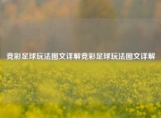 竞彩足球玩法图文详解竞彩足球玩法图文详解