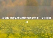 竞彩足球胜负推荐精准预测你的下一个比赛胜利