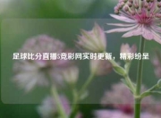 足球比分直播5竞彩网实时更新，精彩纷呈