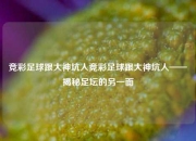 竞彩足球跟大神坑人竞彩足球跟大神坑人——揭秘足坛的另一面