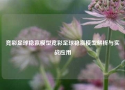 竞彩足球稳赢模型竞彩足球稳赢模型解析与实战应用