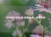 今日竞彩足球2串1把握机会，稳中求胜