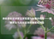 体彩竞彩足球胜足球竞猜与彩票中的胜——揭秘体彩与竞彩足球的策略和风险