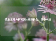 竞彩足球分析预测31把握机会，稳中求胜