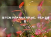 竞彩足球彩票天天加奖天天加奖，你的财富盛宴！