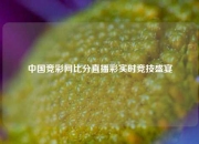 中国竞彩网比分直播彩实时竞技盛宴