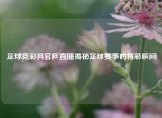 足球竞彩网官网直播揭秘足球赛事的精彩瞬间