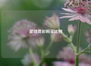 足球竞彩购买比例