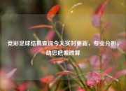 竞彩足球结果查询今天实时更新，专业分析，助您把握胜算