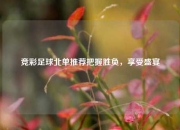 竞彩足球北单推荐把握胜负，享受盛宴