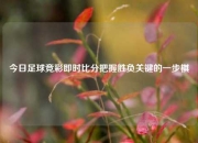 今日足球竞彩即时比分把握胜负关键的一步棋