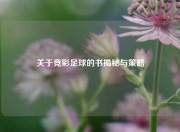 关于竞彩足球的书揭秘与策略