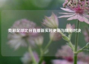 竞彩足球比分直播新实时更新与精彩对决