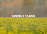 竞彩足球网上怎么购买啊