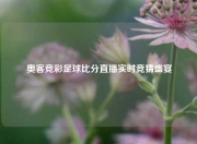 奥客竞彩足球比分直播实时竞猜盛宴