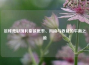 足球竞彩凯利指数概率、风险与收益的平衡之道