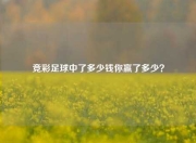 竞彩足球中了多少钱你赢了多少？