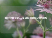 皇冠足球竞彩app皇冠足球竞彩APP的崛起