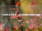 欧洲杯足球竞彩一场充满激情与挑战的盛宴