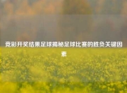 竞彩开奖结果足球揭秘足球比赛的胜负关键因素